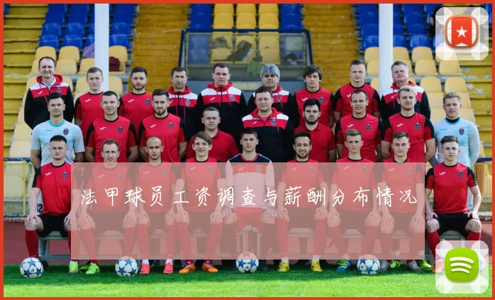 法甲球员工资调查与薪酬分布情况