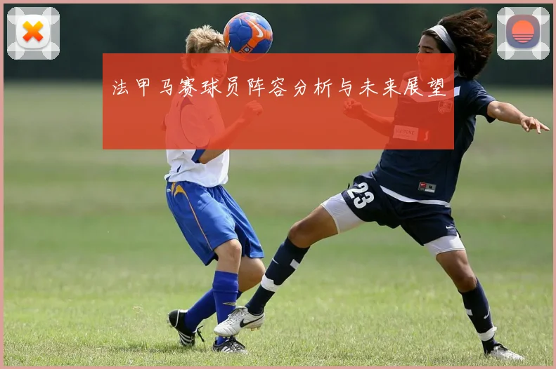 法甲马赛球员阵容分析与未来展望